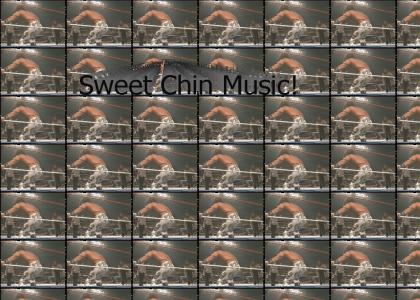 Sweet Chin Music