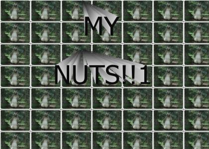 My nuts!