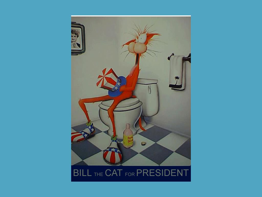 billthecat