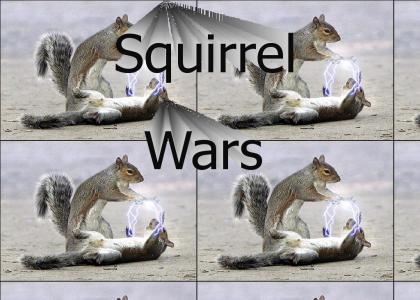 Squirrel Wars