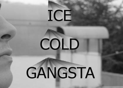 ice cold gangsta
