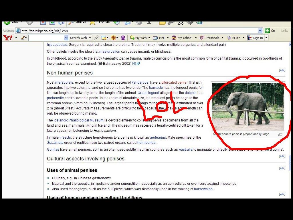 lolwikipedia