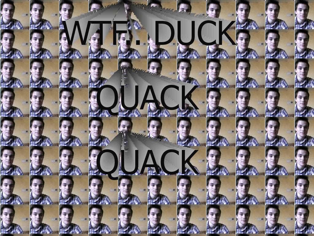 lolduckwtf