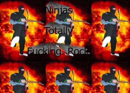 ninjas totally rule