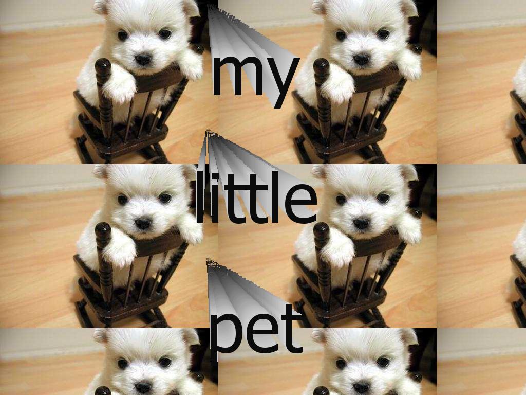 mylittlepet