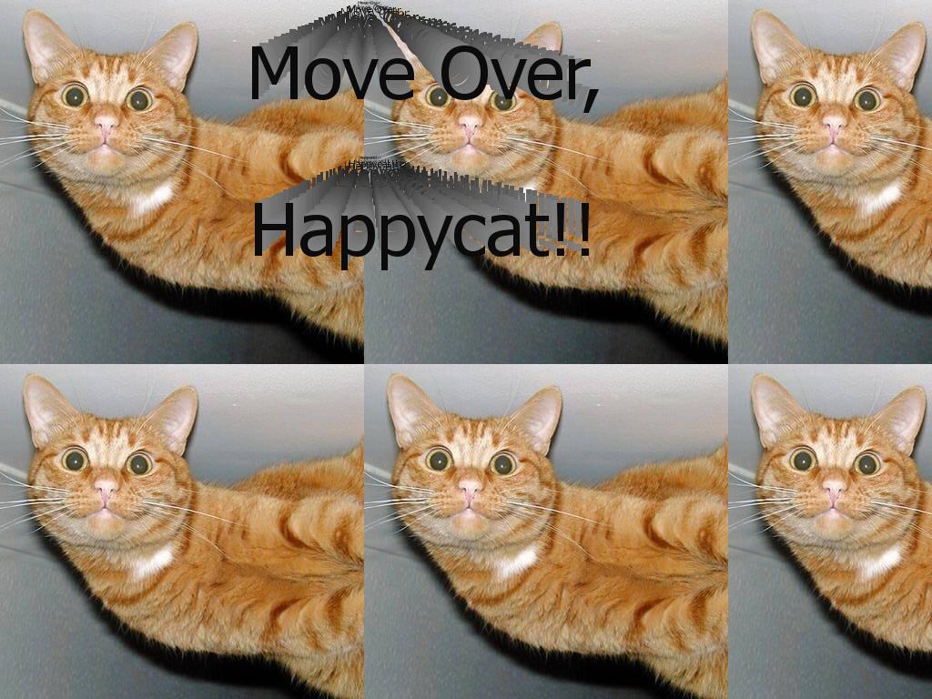 moveovercat