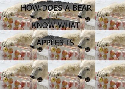 HOW DOES A BEAR KNOW WHAT APPLES IS