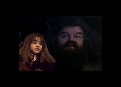 Hagrid and Hermione