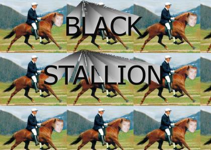 black stallion nigga