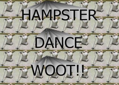 Hampster Dance!