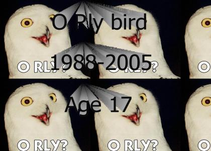 O rly owl(1988-2005)