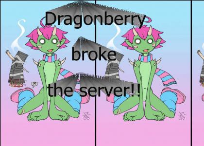Dragonberry broke the server!