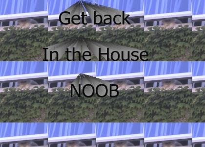 Back in House Noob