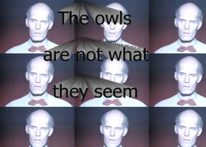 The owls are not what they seem