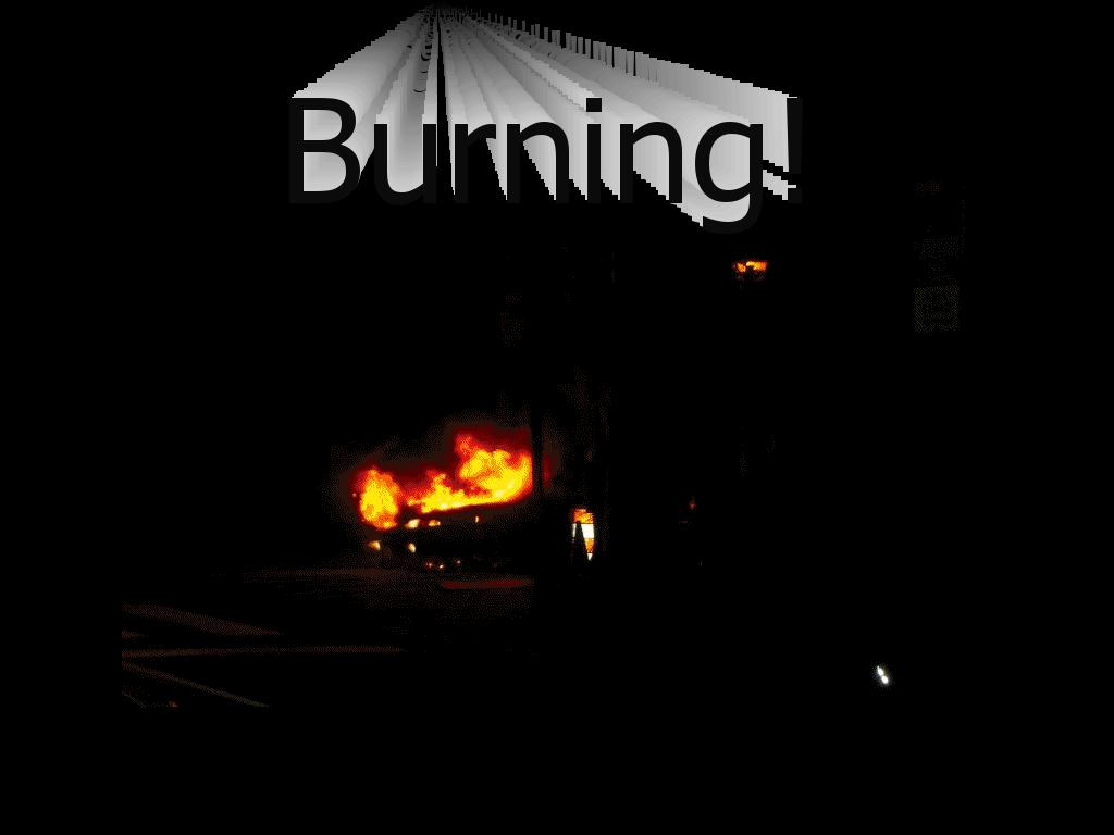 burningmustang