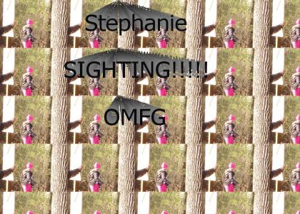 STEPHANIE sighting
