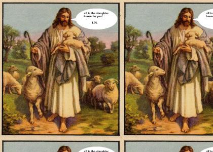 Jesus with sheep!