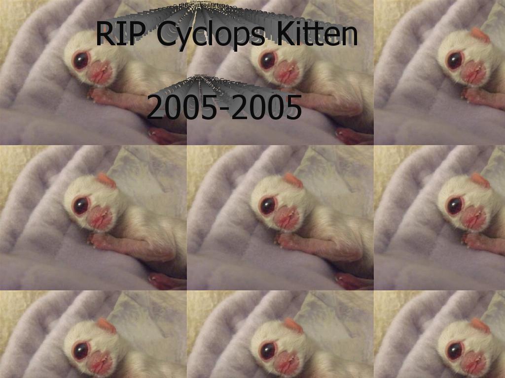 cyclopskitten