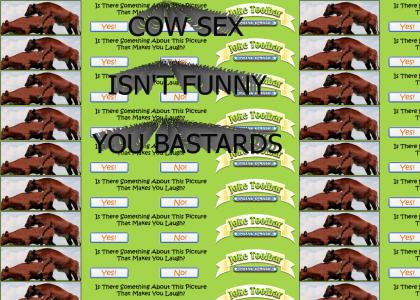 COW SEX ISN'T FUNNY YOU BASTARDS