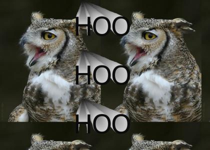 The singing owl