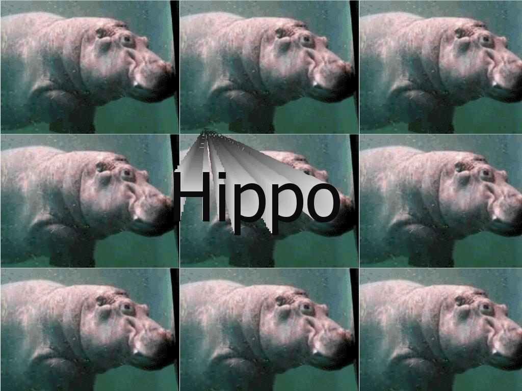 hippohippo