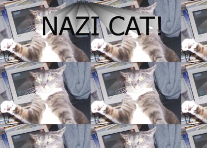 SECRET NAZI CAT!