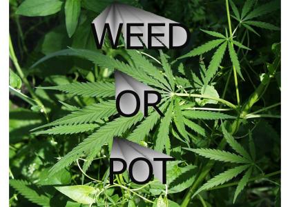 Weed Or Pot