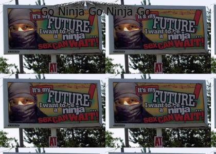 Go Ninja Go