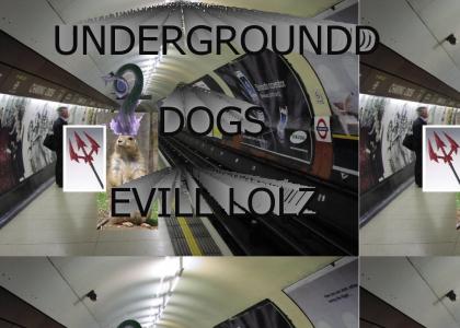 Underground Mutant Prairie Dogs From Hell