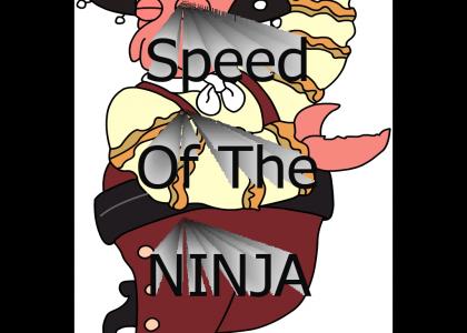 Ninja Zoid