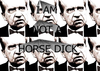 I AM NOT A HORSEDICK
