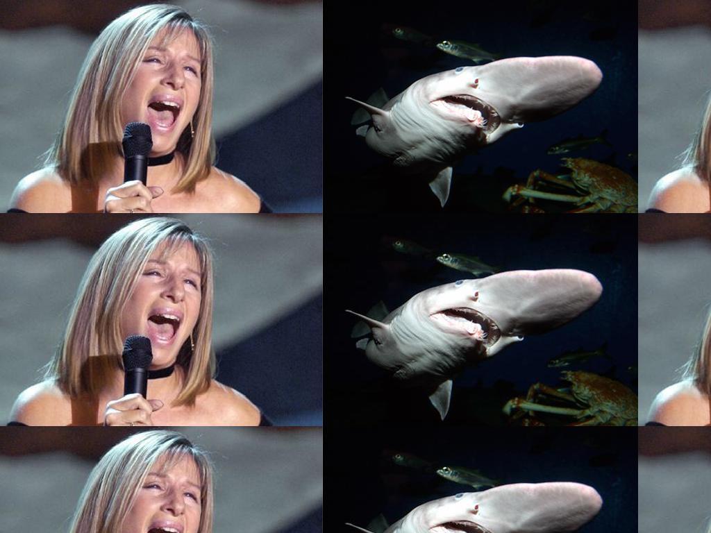 barbrastreisandgoblinshark