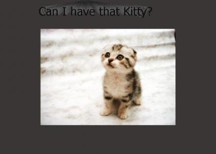 Can I have that kitty?