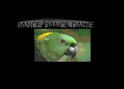 The Parrot Dance
