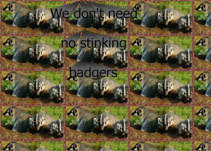 We don't need no stinking badgers