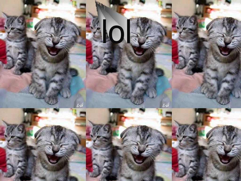 laughingcat