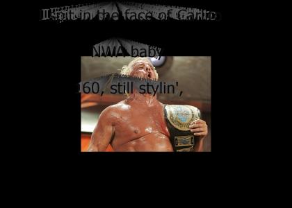 Ric Flair - Intercontinental Champion!