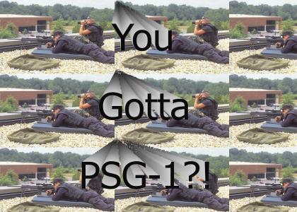 You got a PSG-1?