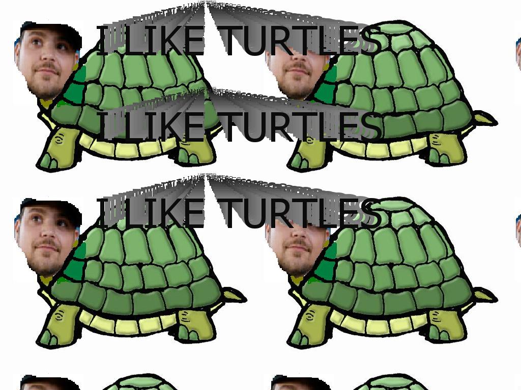 iliketurtle