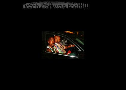 Death Cat predicted Tupac's death!