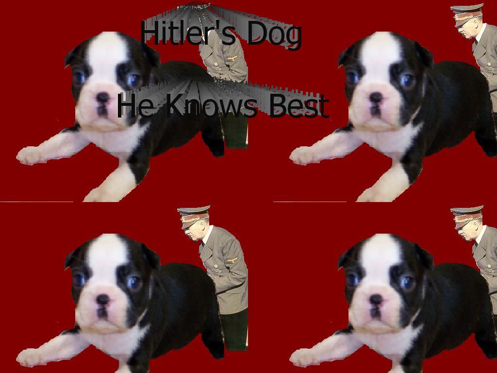 hitlersdog
