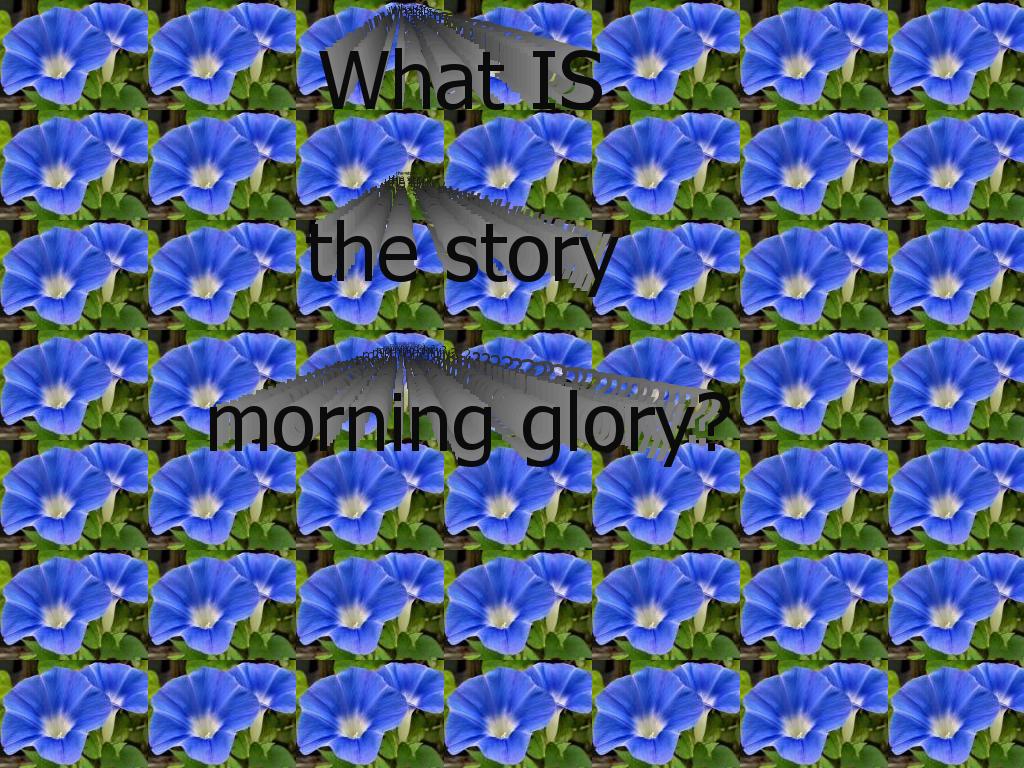 whatsthestorymorningglory