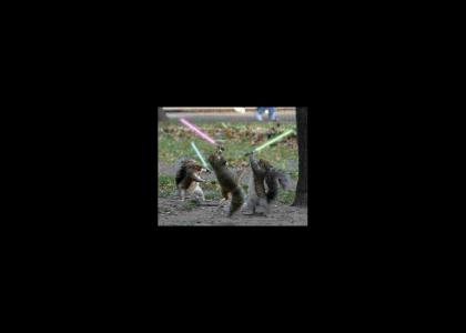 Star Wars Squirrels