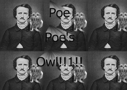 Poe, Poe's Owl