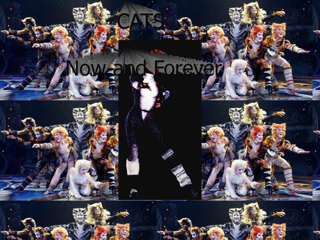 catsthemusical