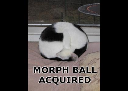 Morph Ball Acquired