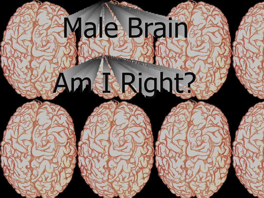 male-brain