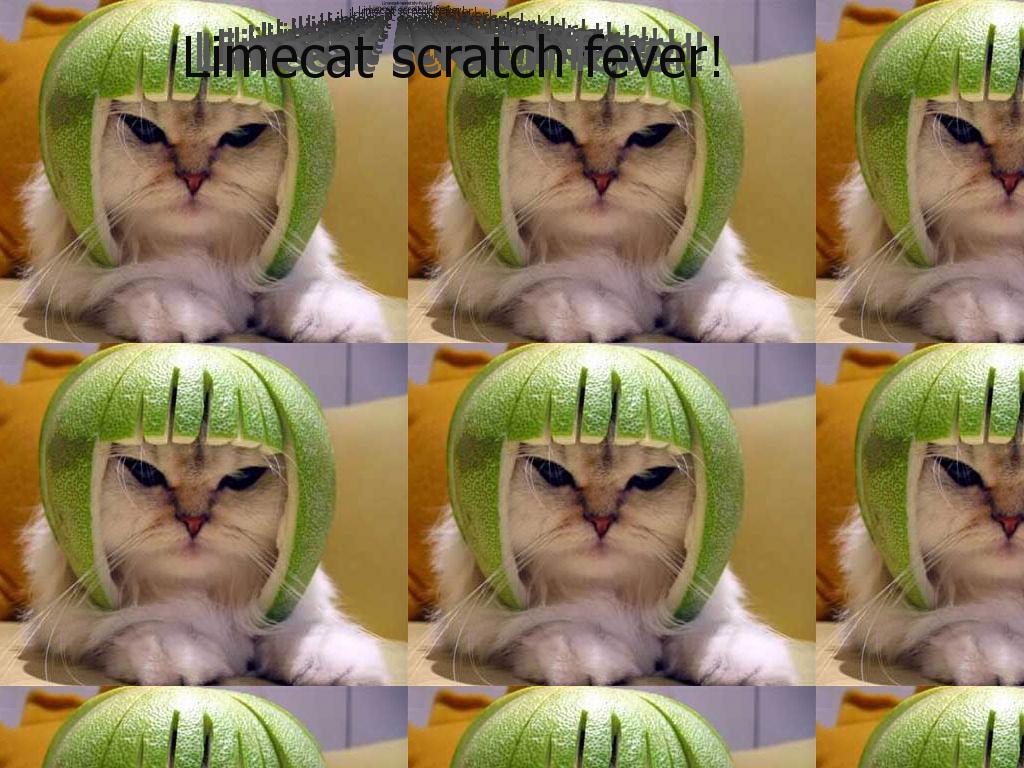 limecatscratchfever