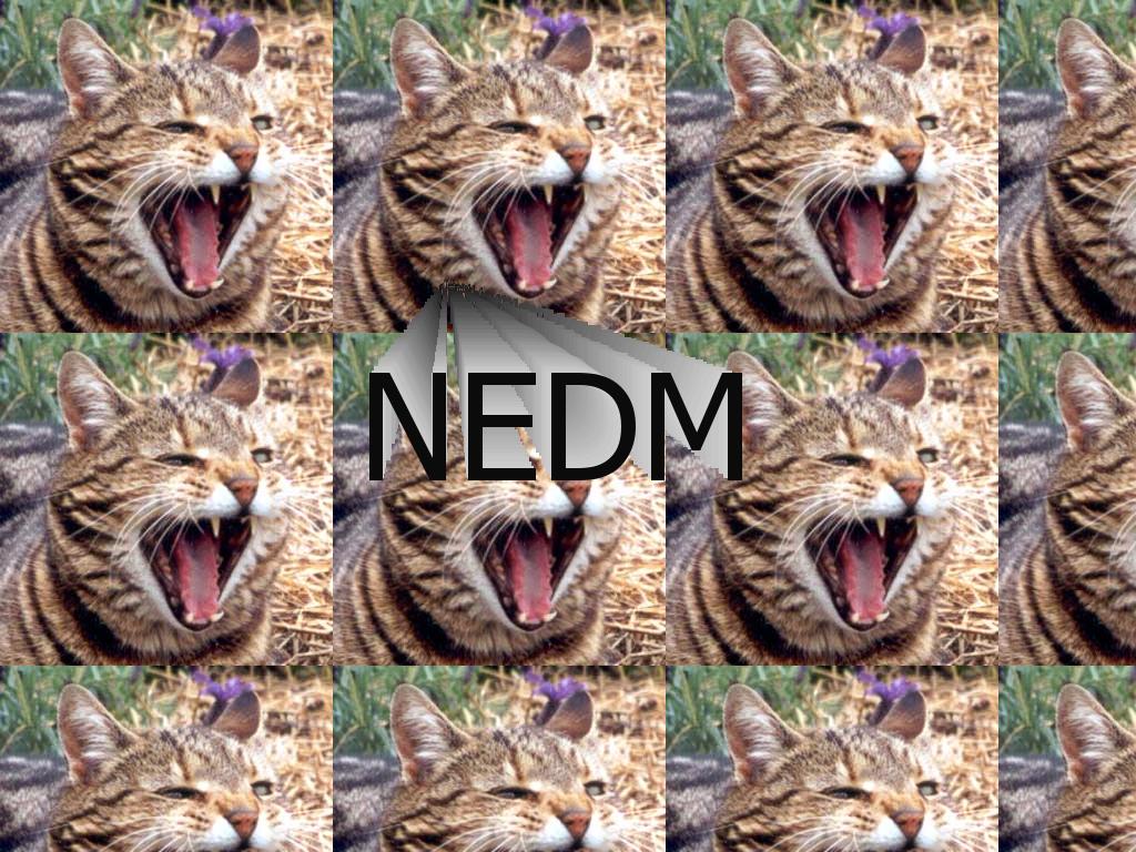 thenewnedm