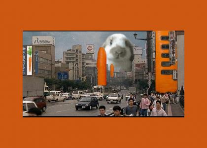 Terror in the Carrot Prefecture